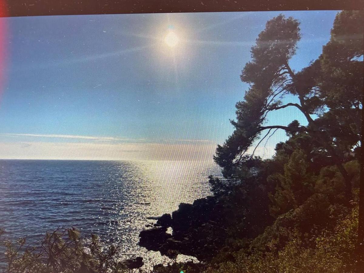 Pin Rollan Beach Saint-Mandrier-sur-Mer Exterior foto